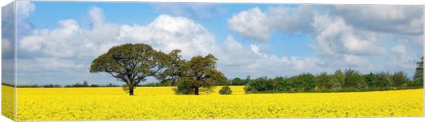Christleton in Bloom Canvas Print by Andy Heap