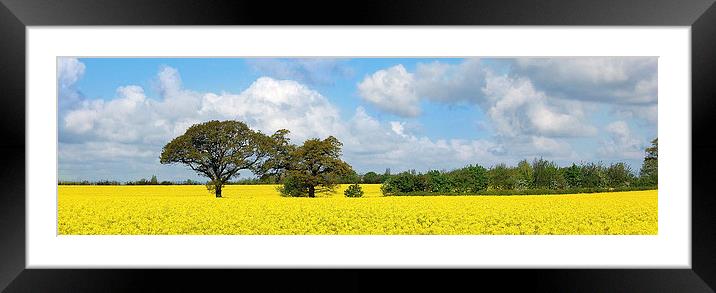 Christleton in Bloom Framed Mounted Print by Andy Heap