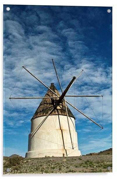 The Graceful Spanish Windmill Acrylic by Robert Murray