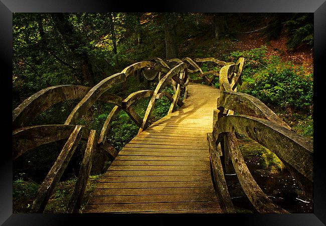 Enchanting Hareshaw Linn Walk Framed Print by Robert Murray