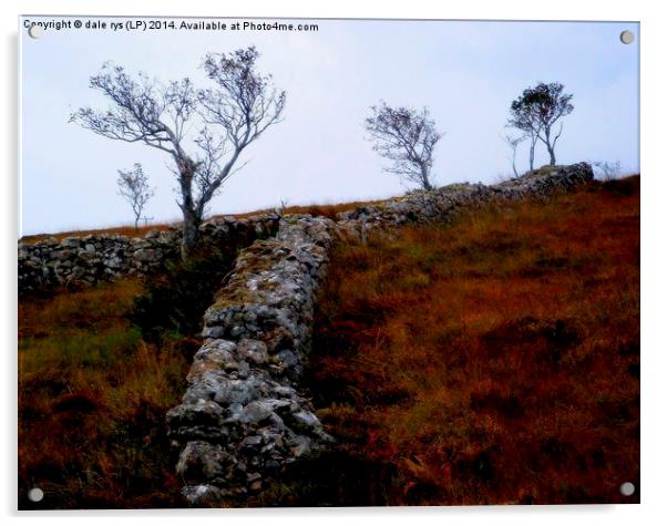 old farmers wall-skye Acrylic by dale rys (LP)