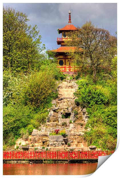 Peasholm Park Pagoda Print by Tom Gomez