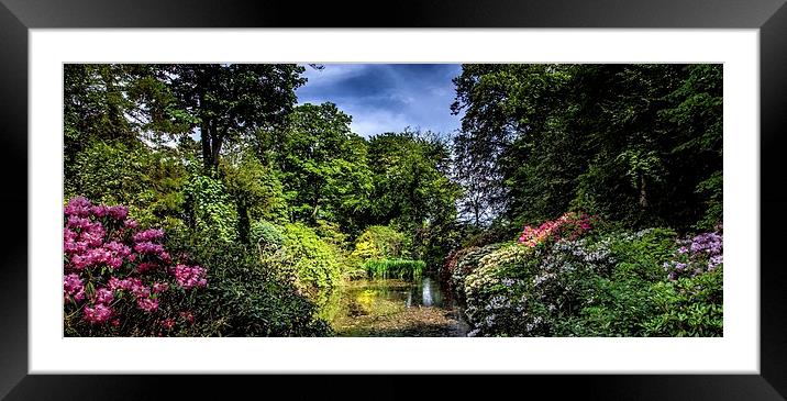 Johnston Gardens Framed Mounted Print by Vicky Mitchell