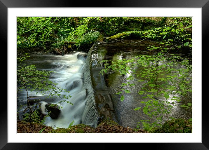 Water Hole Framed Mounted Print by Mark Robson