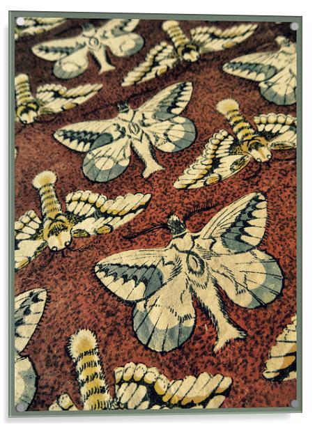 book of moths Acrylic by Heather Newton