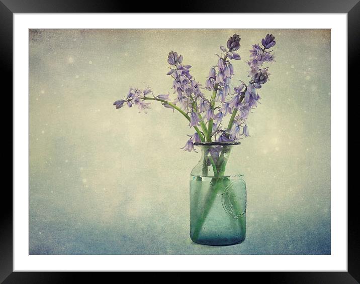 bluebells in a jar Framed Mounted Print by Heather Newton