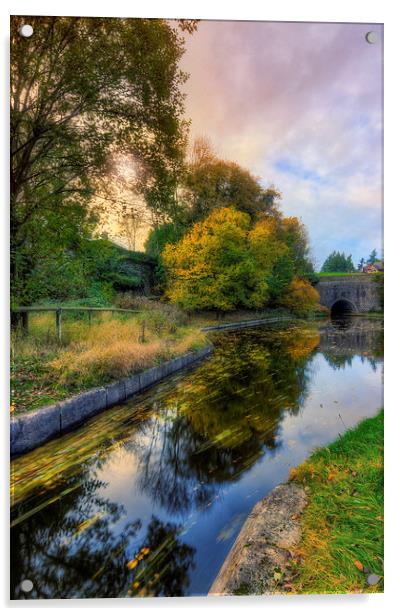 Canal Drifting Leaves Acrylic by Ian Mitchell