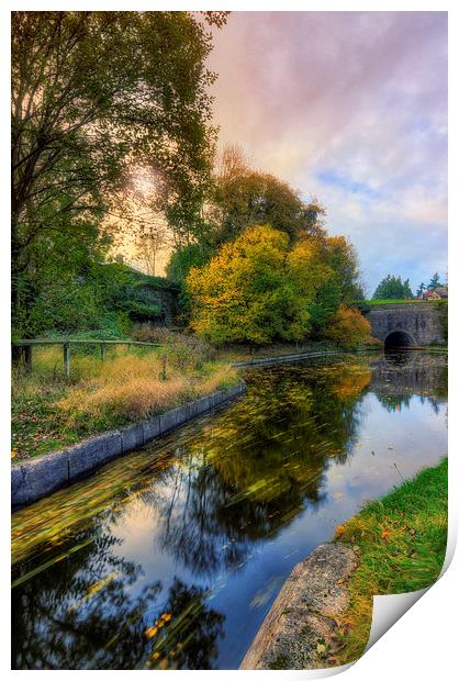 Canal Drifting Leaves Print by Ian Mitchell