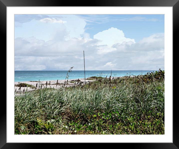 Across the Dunes at Hobe Sound Framed Mounted Print by Judy Hall-Folde