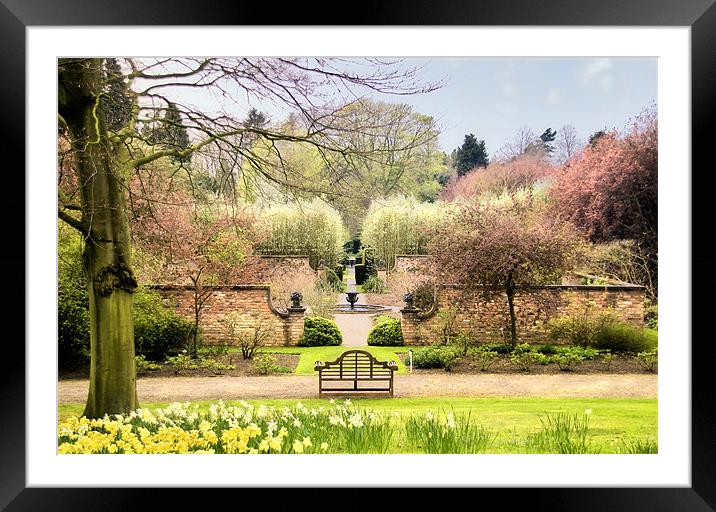 Secret Garden Framed Mounted Print by Fee Easton