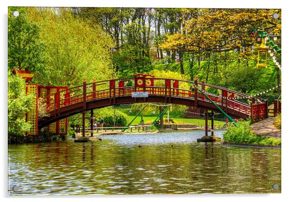 Peasholm Park Bridge Acrylic by Tom Gomez