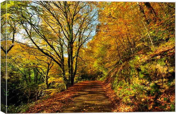 Autumn at Kilminorth Woods Looe Canvas Print by Rosie Spooner