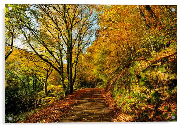 Autumn at Kilminorth Woods Looe Acrylic by Rosie Spooner