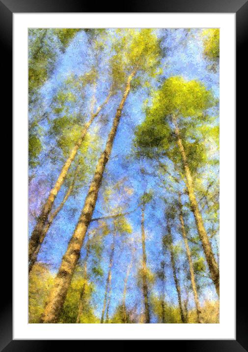 A Peaceful Forest Framed Mounted Print by David Pyatt