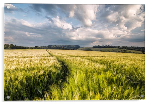 Barley Fields Acrylic by Ian Hufton