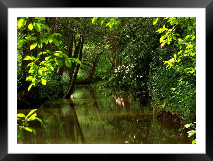 Tranquill River Framed Mounted Print by carol hynes