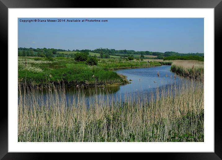 River Stour Framed Mounted Print by Diana Mower