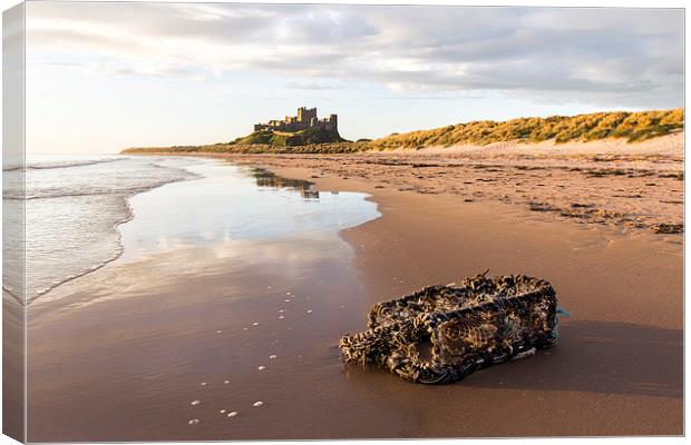 Washed up at Bamburgh Canvas Print by Northeast Images