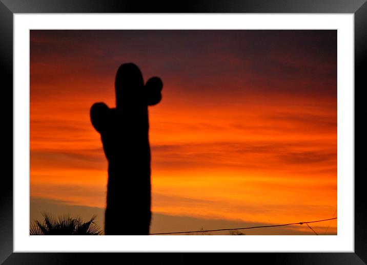 orange sunset Framed Mounted Print by Pete Schulte