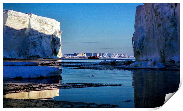 Tabular Icebergs, Cape Roget, Antarctica Print by Carole-Anne Fooks