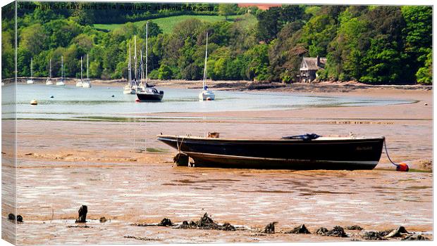 The Tranquil River Dart Canvas Print by Peter F Hunt