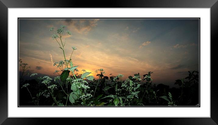 As the sun gos down Framed Mounted Print by Jon Fixter