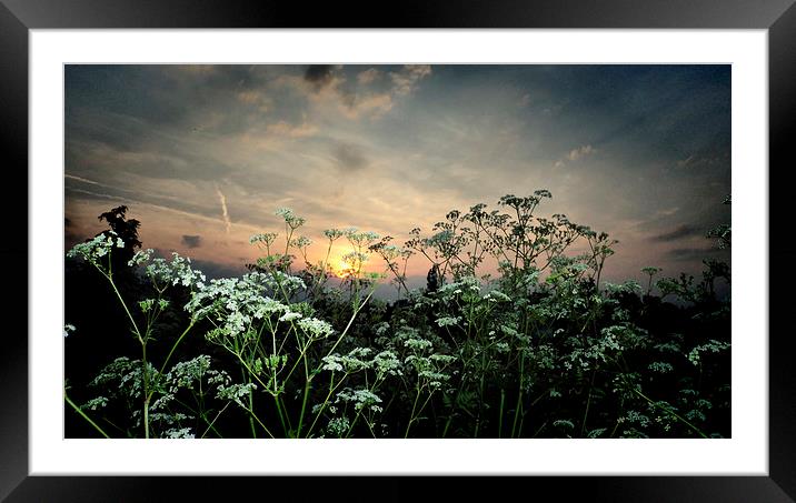 A Natural Sunset Framed Mounted Print by Jon Fixter
