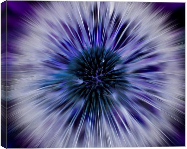 Purple Zoom Burst Dandelion Canvas Print by Helen Holmes