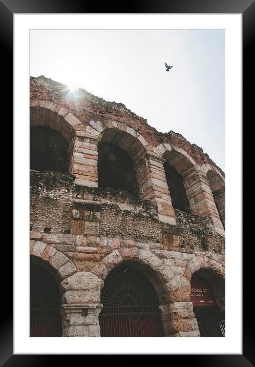 Flying on the arena Framed Mounted Print by Chiara Cattaruzzi