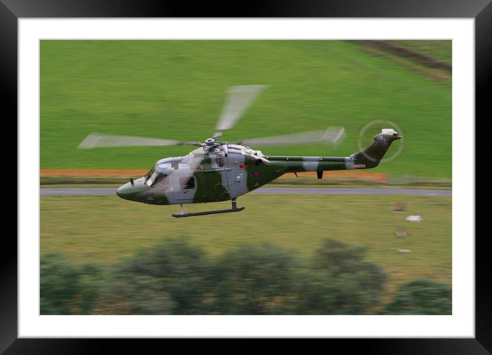 British Army Lynx down low Framed Mounted Print by Peter Struthers