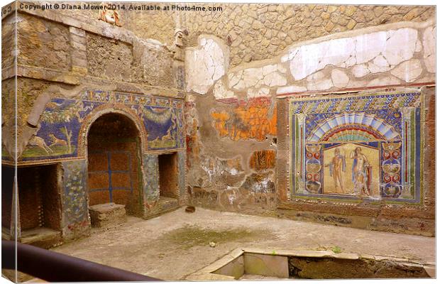 Herculaneum Frescos Canvas Print by Diana Mower