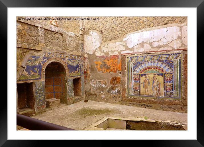 Herculaneum Frescos Framed Mounted Print by Diana Mower