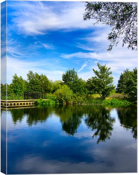 River Lea Canvas Print by Rob Camp