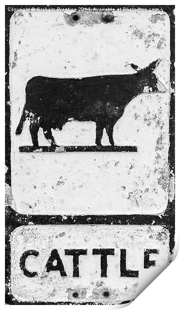 Cattle Sign Print by Graham Prentice