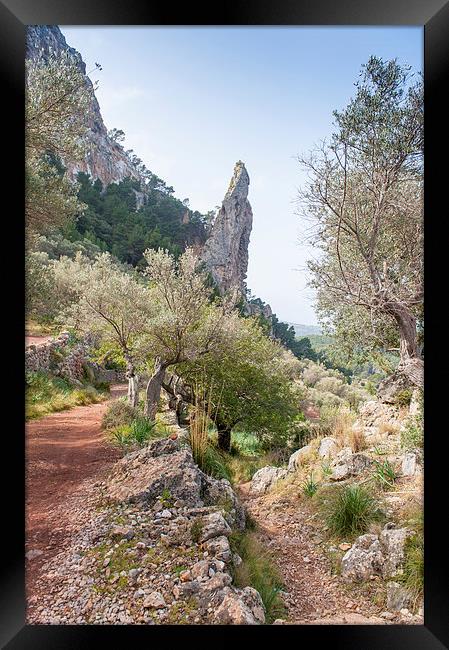 Mallorca walk Framed Print by Gary Eason