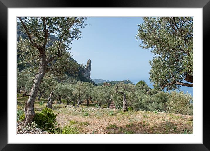 Mallorca walk Framed Mounted Print by Gary Eason