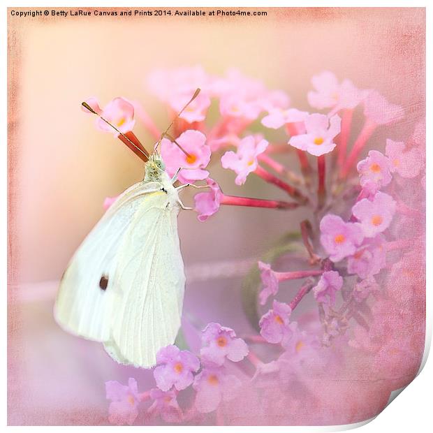 Butterfly Bliss Print by Betty LaRue