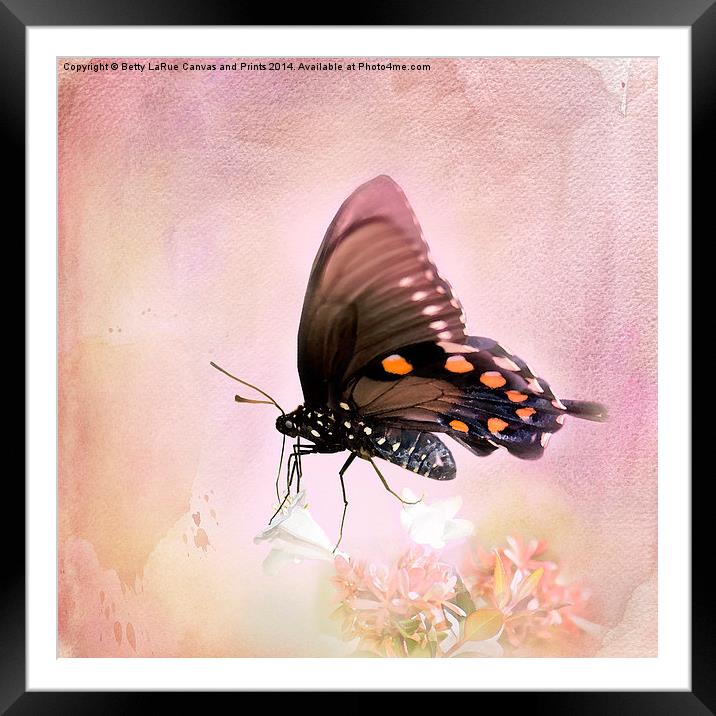 Blissful Morning Framed Mounted Print by Betty LaRue
