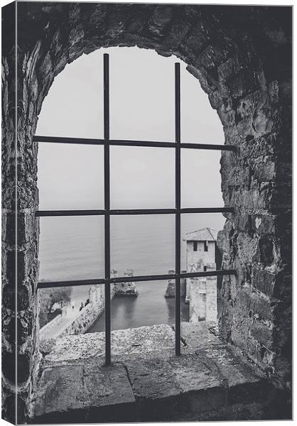 A view from the castle Canvas Print by Chiara Cattaruzzi