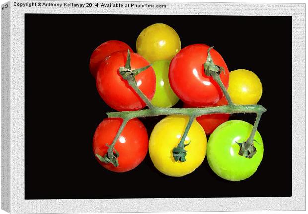 COLOURED TOMATOES Canvas Print by Anthony Kellaway