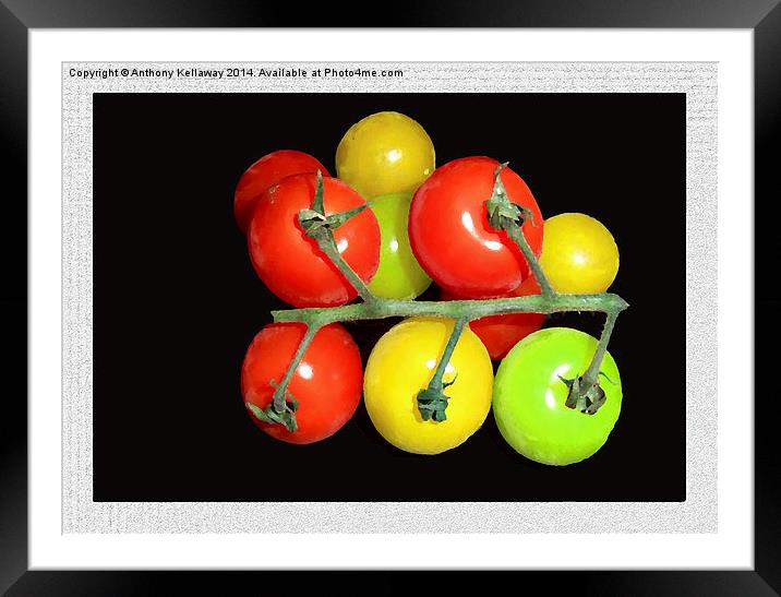 COLOURED TOMATOES Framed Mounted Print by Anthony Kellaway