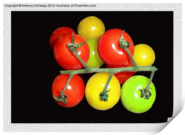 COLOURED TOMATOES Print by Anthony Kellaway