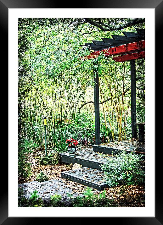 Japanese Garden Framed Mounted Print by Judy Hall-Folde