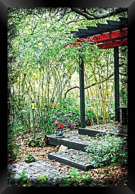 Japanese Garden Framed Print by Judy Hall-Folde