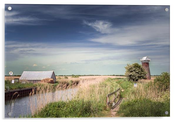 Windmill at Martham Broad Acrylic by Stephen Mole