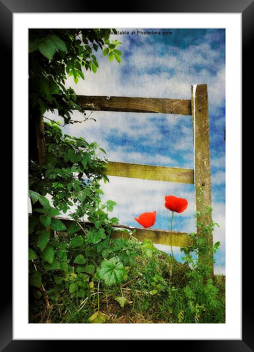 Over the Garden Gate Framed Mounted Print by Christine Lake