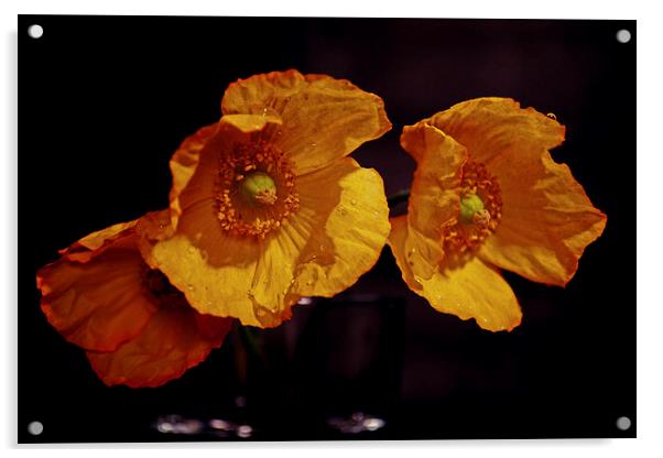Yellow poppies Acrylic by Nadeesha Jayamanne