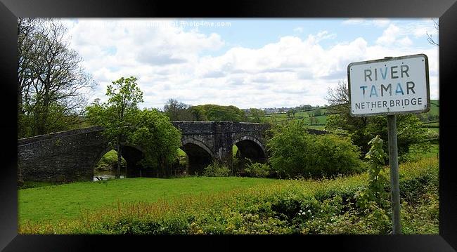 Cornish Border Framed Print by Peter Farrington