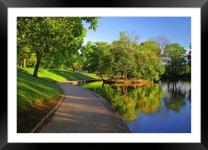 Hillsborough Park Lake, Sheffield Framed Mounted Print by Darren Galpin