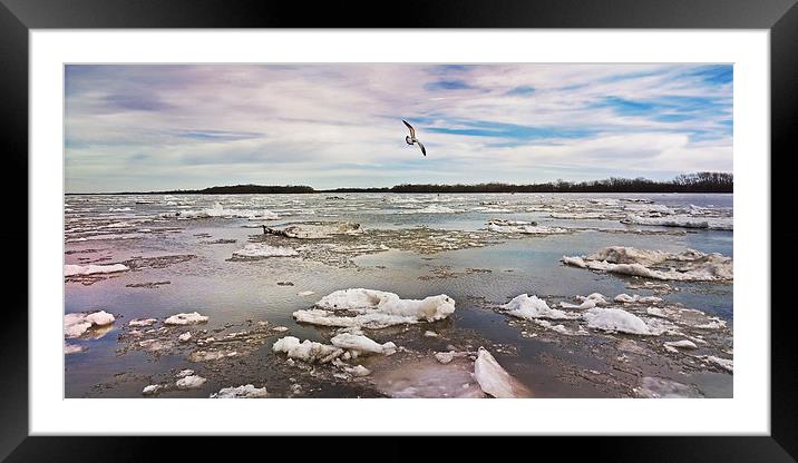 Flying over the Delaware Framed Mounted Print by Tom and Dawn Gari